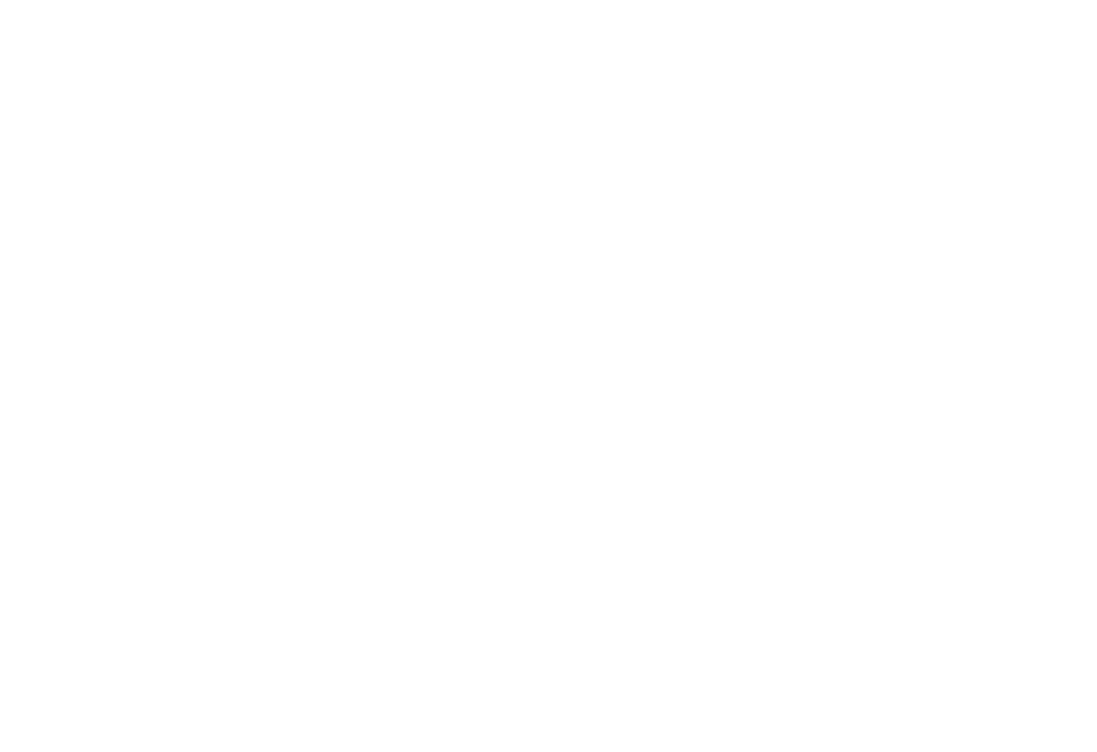Topigent Consultancy